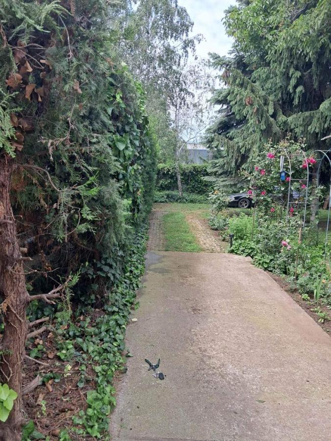 2 Rooms Retro Guesthouse In A Silent Garden 韦切什 外观 照片