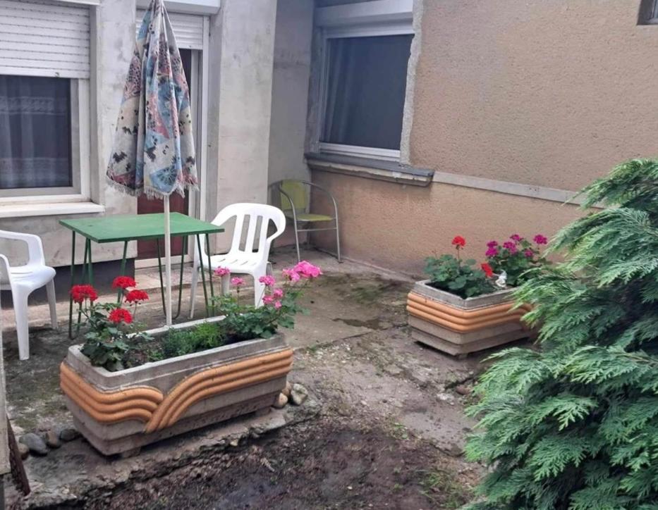 2 Rooms Retro Guesthouse In A Silent Garden 韦切什 外观 照片
